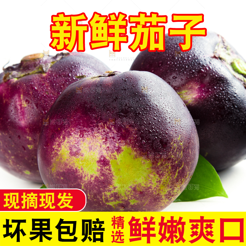 白底上的紫皮圆茄子