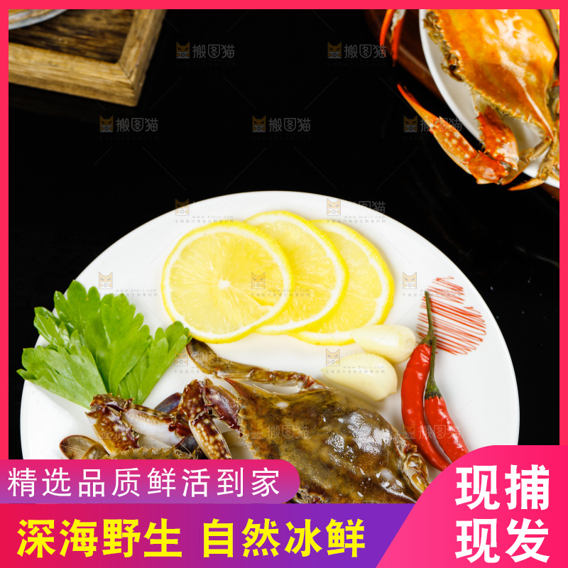 黑底上放着一盘梭子蟹