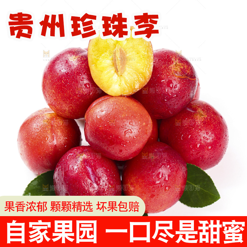 掰开的珍珠李放在白底上