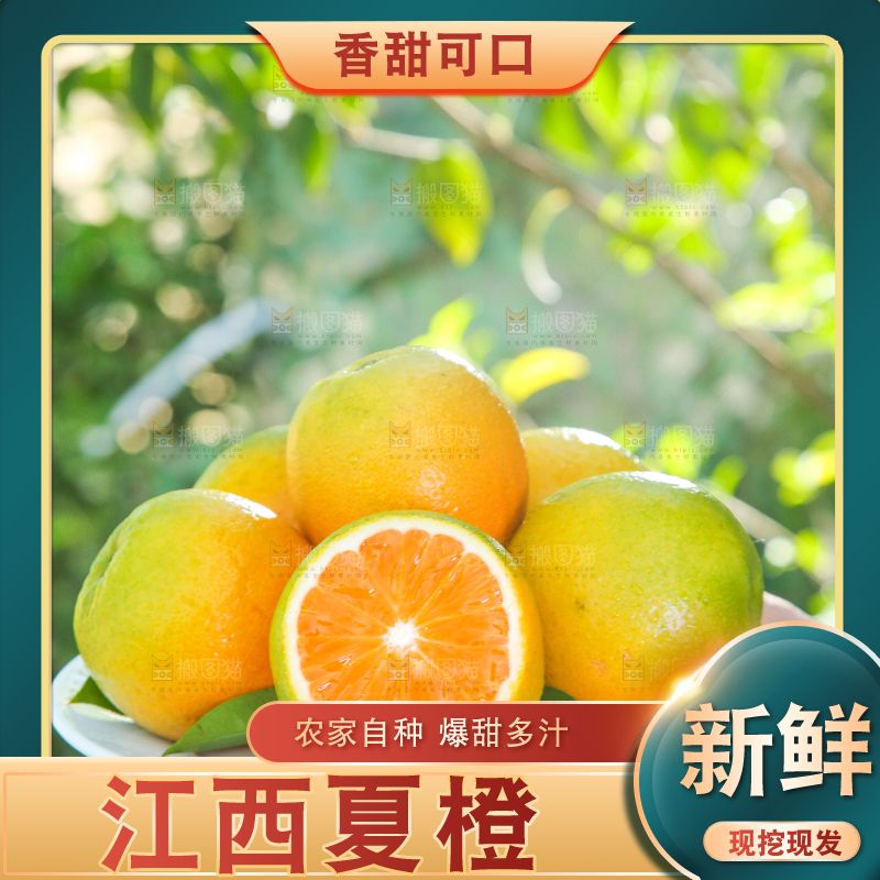 手端一盘夏橙