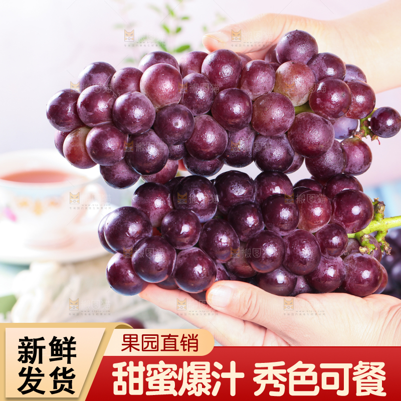 手拿东北巨峰葡萄