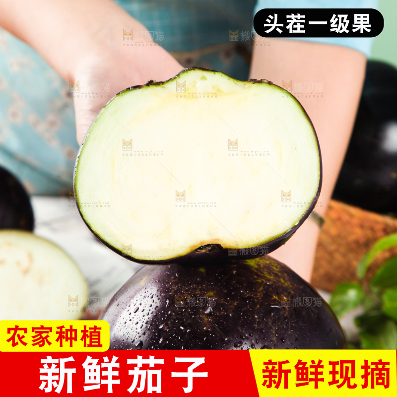 手拿切开的紫圆茄子