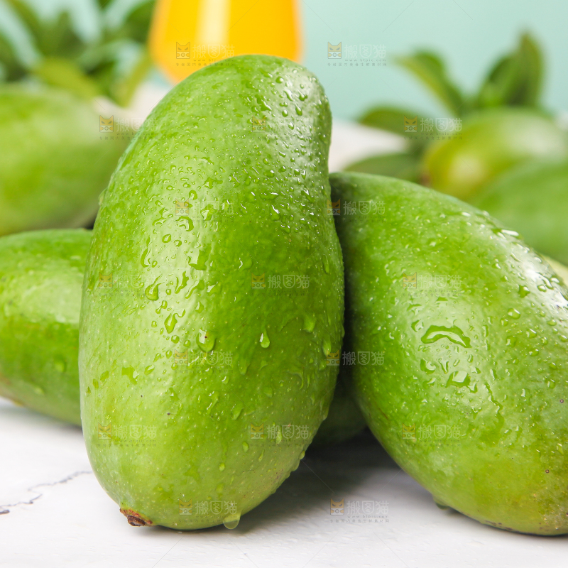 石板上的田东桂七芒