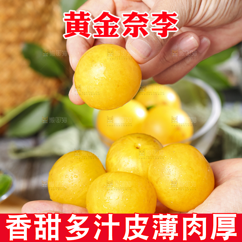 手拿黄金奈李