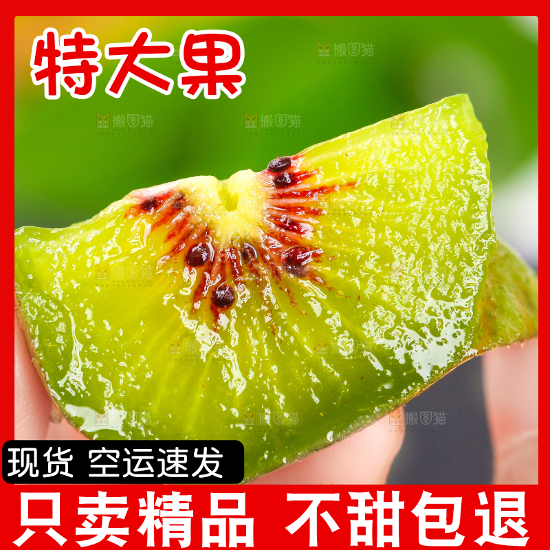手拿猕猴桃