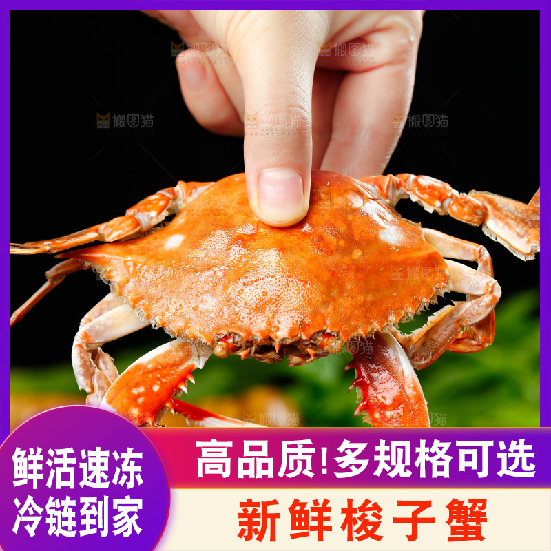 手拿梭子蟹