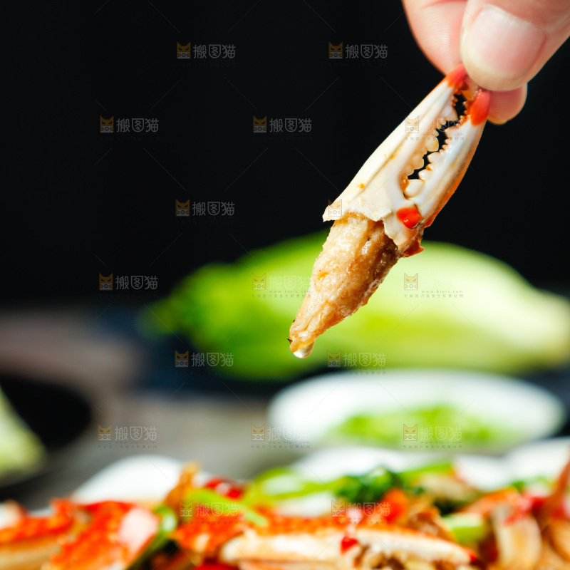 手拿红烧梭子蟹钳