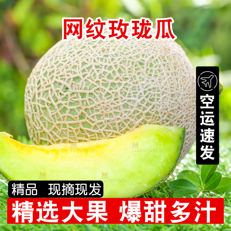 草地上放着切开的网纹蜜瓜