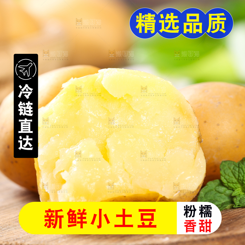 木底上的云南黄心小土豆