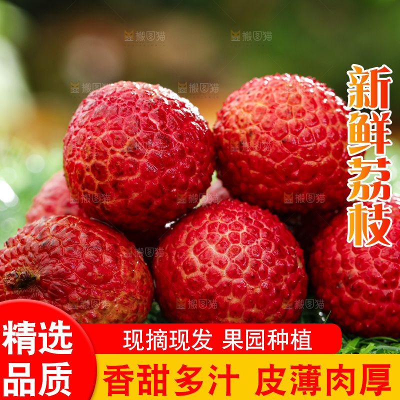 草地上的荔枝