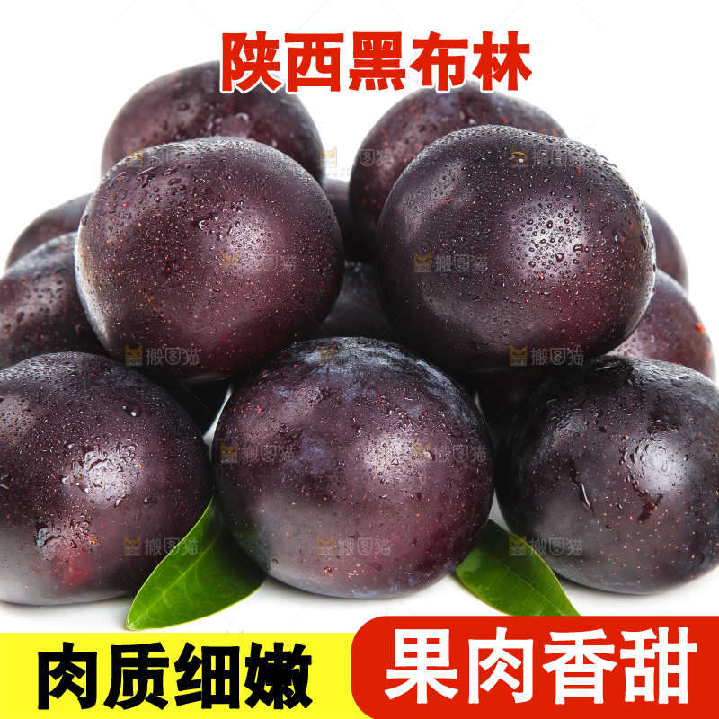 白底上放着智利黑布李