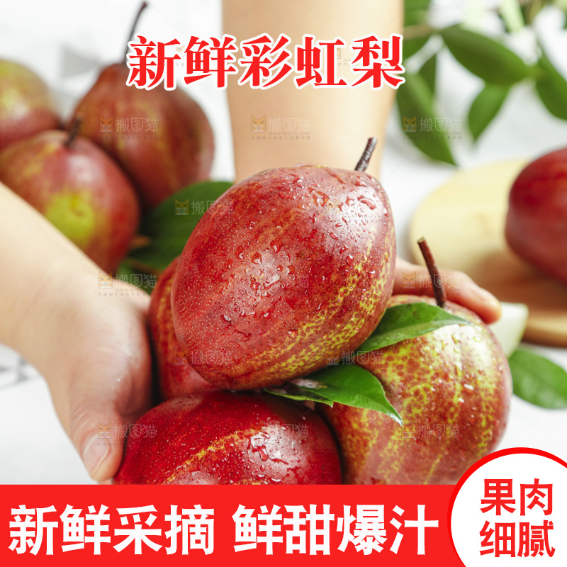 手拿陕西彩虹梨