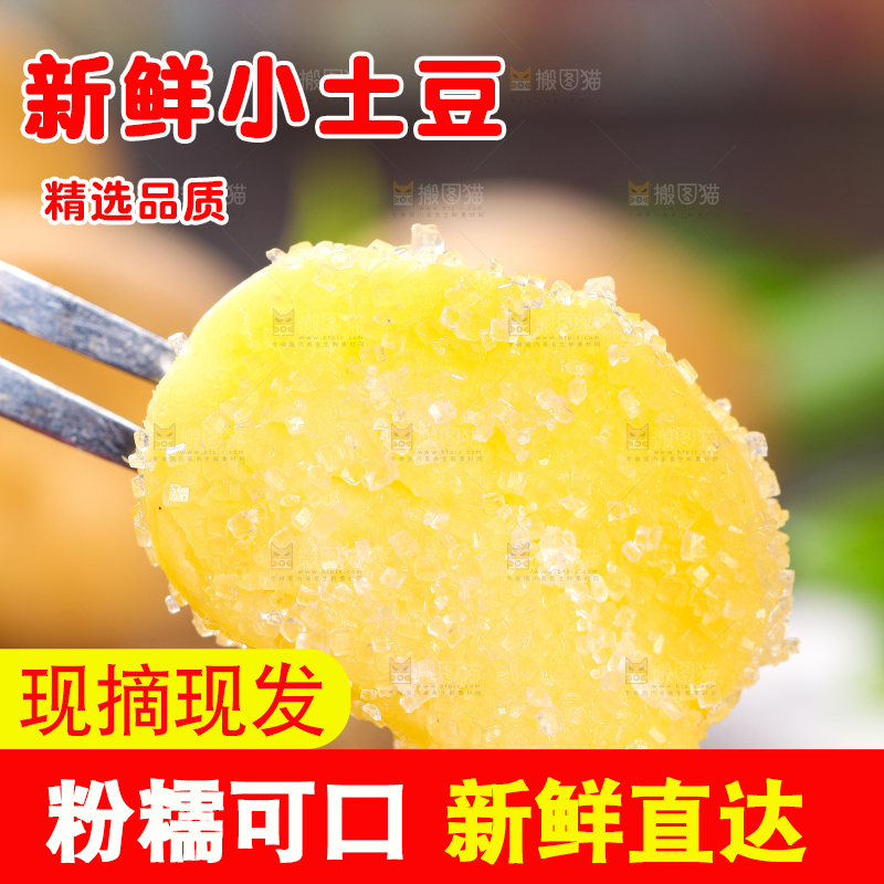 叉子叉着蘸糖的黄心熟土豆