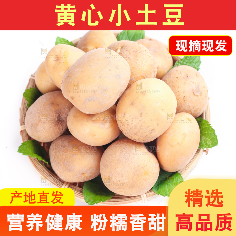 白底上放着一盘小土豆