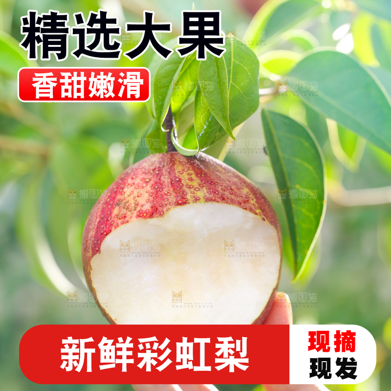 手拿彩虹梨