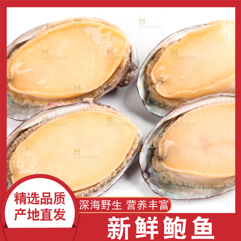 白底上放着新鲜剥开的活动大鲍鱼