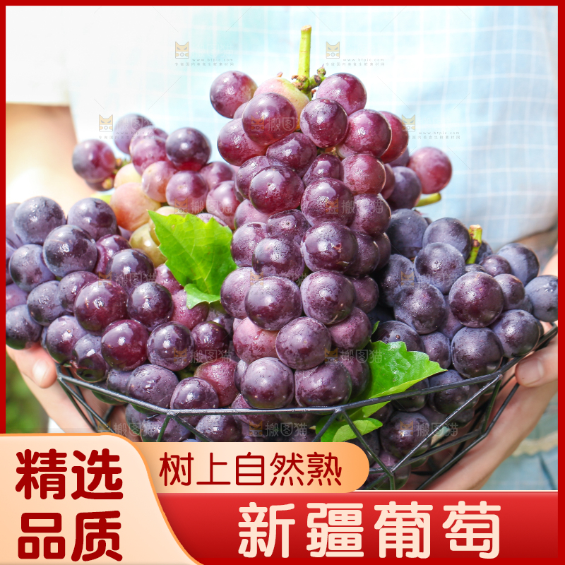 手拿一筐东北巨峰葡萄