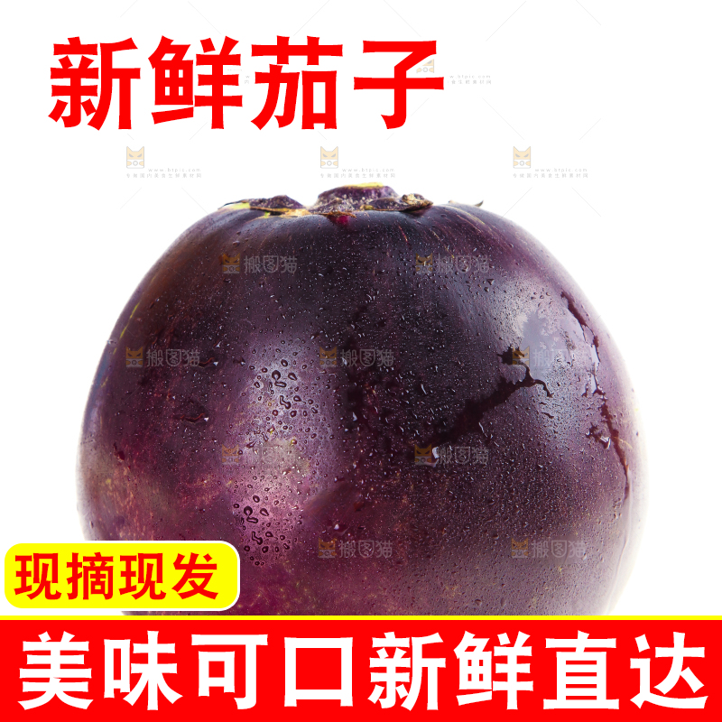 白底上的紫皮圆茄子