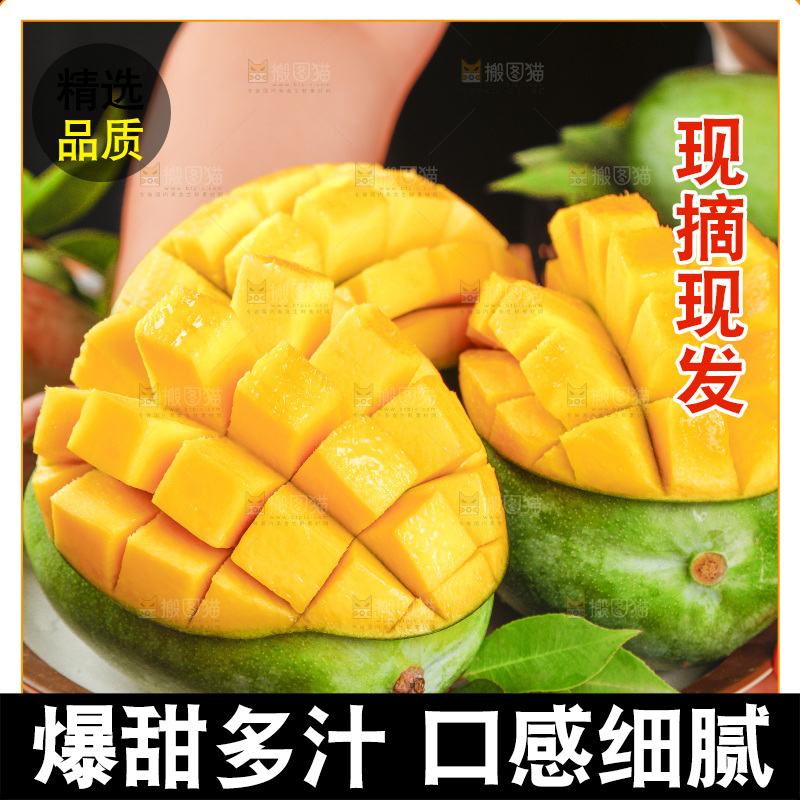 木底上手拿着的攀枝花凯特芒果肉