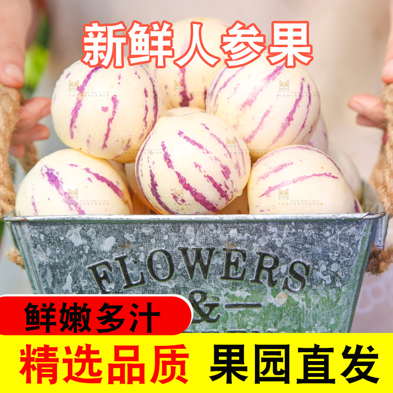 手拿一桶人参果