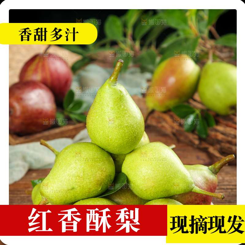 木底上的早酥梨