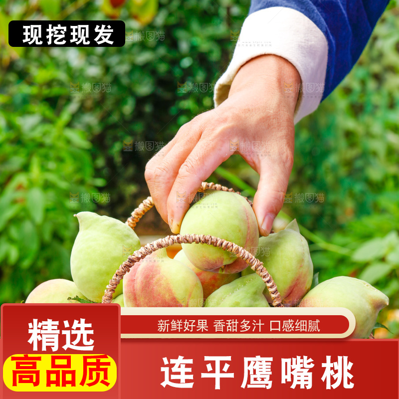 手拿云南鹰嘴水蜜桃