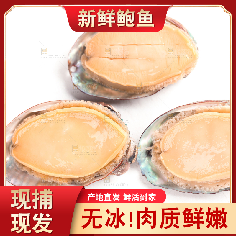 白底上放着鲍鱼