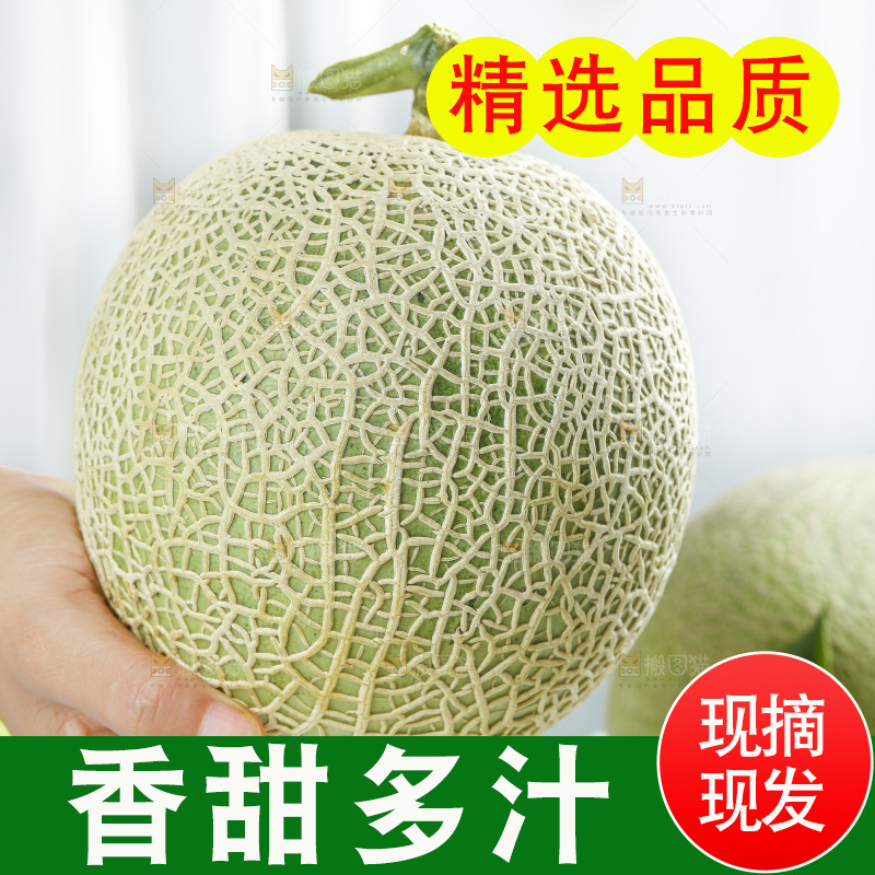 手拿玫珑蜜瓜