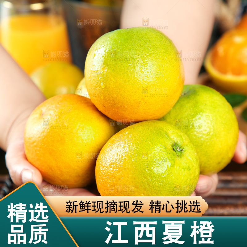 手拿秭归夏橙