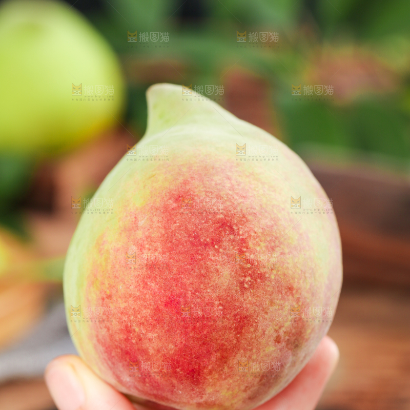 手拿云南鹰嘴水蜜桃