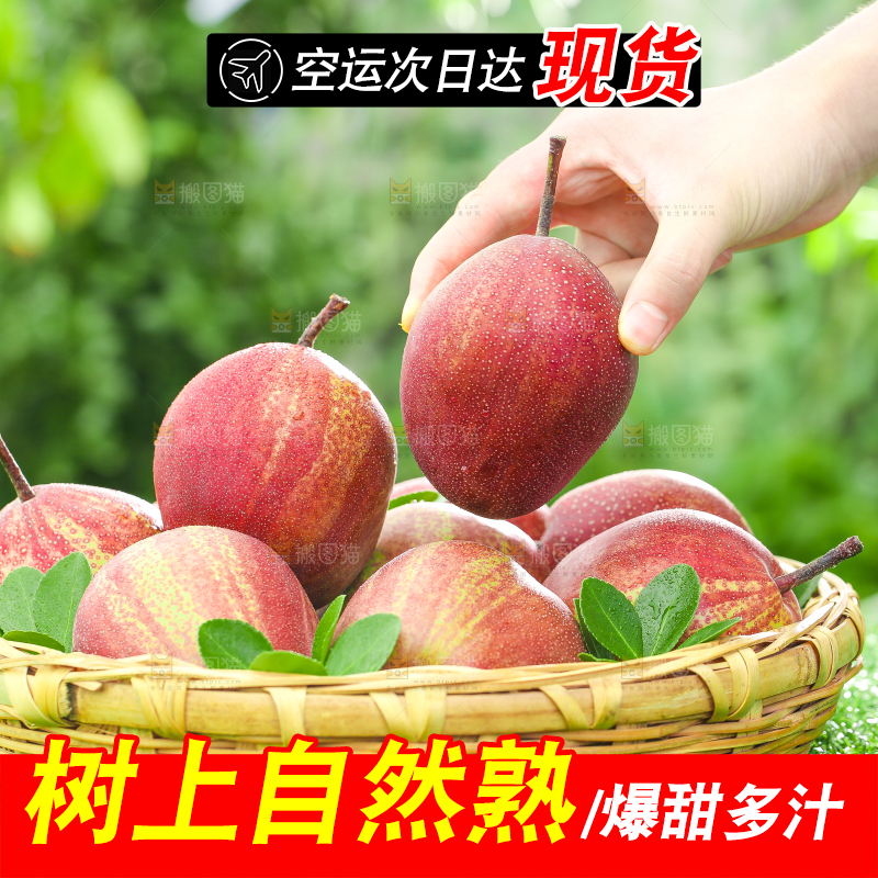 手拿一个彩虹梨