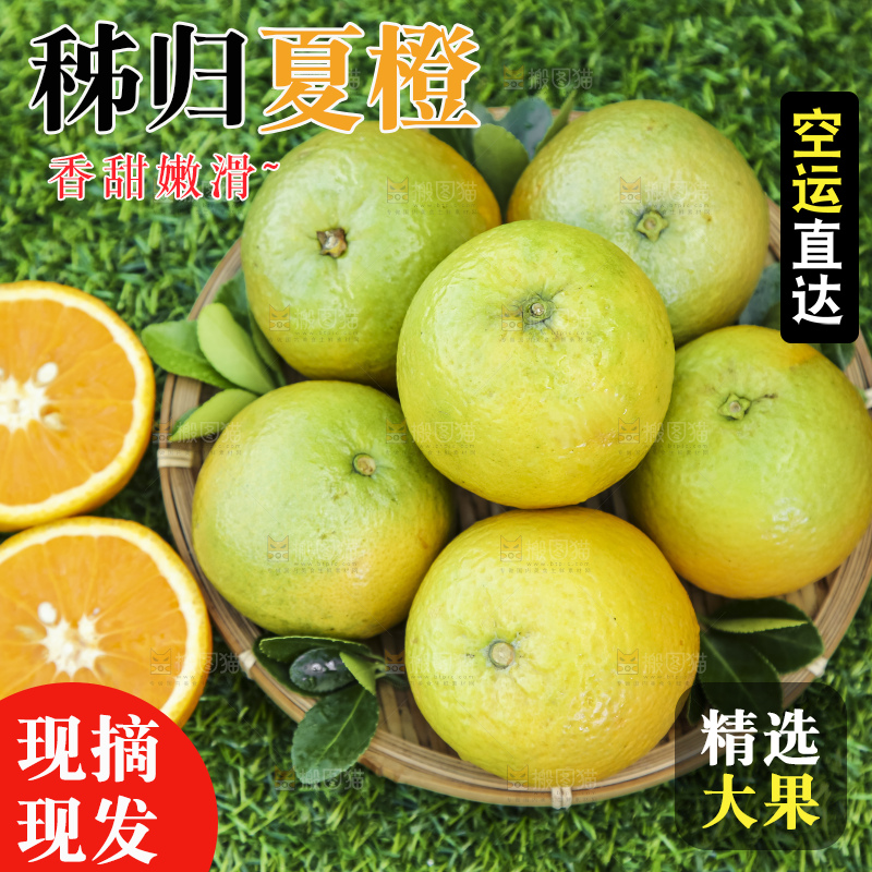 草地上放着一篮夏橙