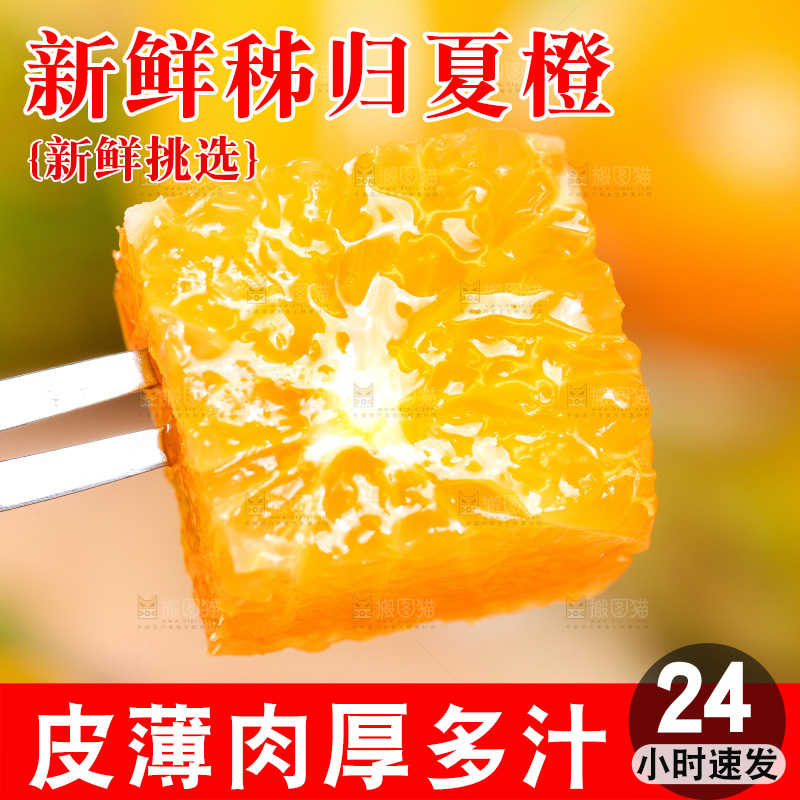 叉子叉着秭归夏橙果肉