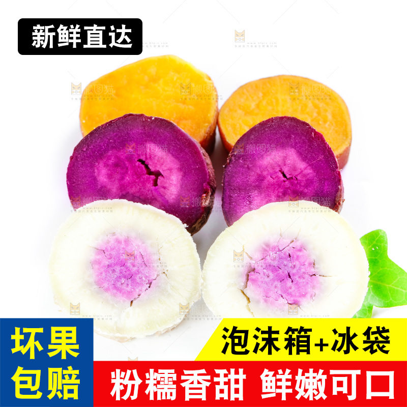 白底上的红薯组合