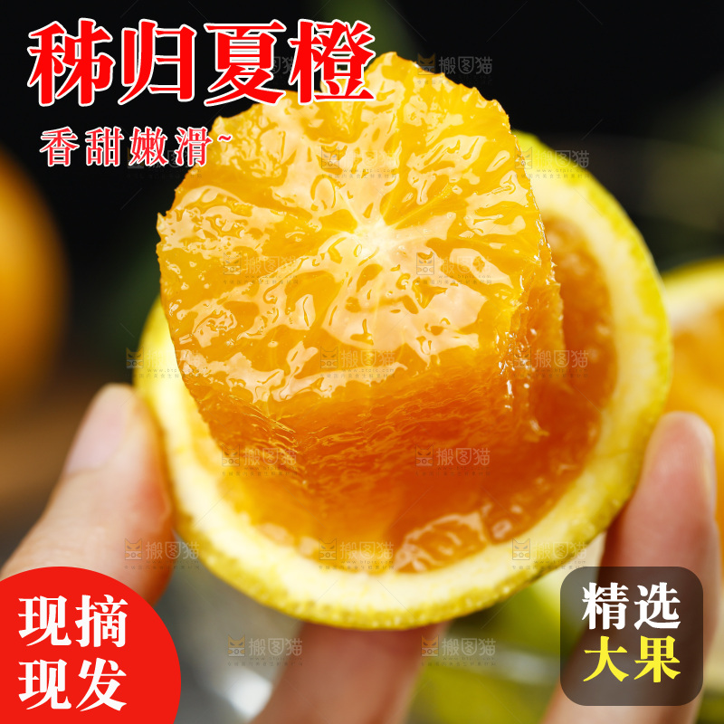 手拿切开的夏橙