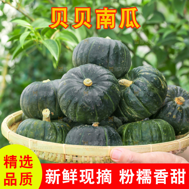 手里端着一盘板栗贝贝南瓜