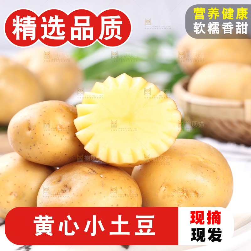 石盘里的云南小土豆
