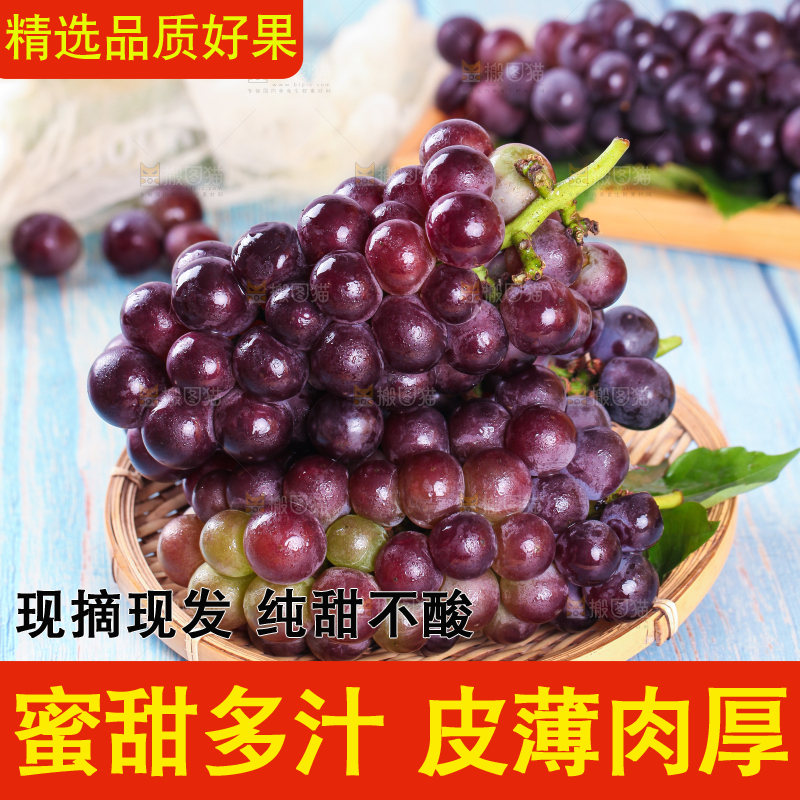 蓝底上放着一盘东北巨峰葡萄