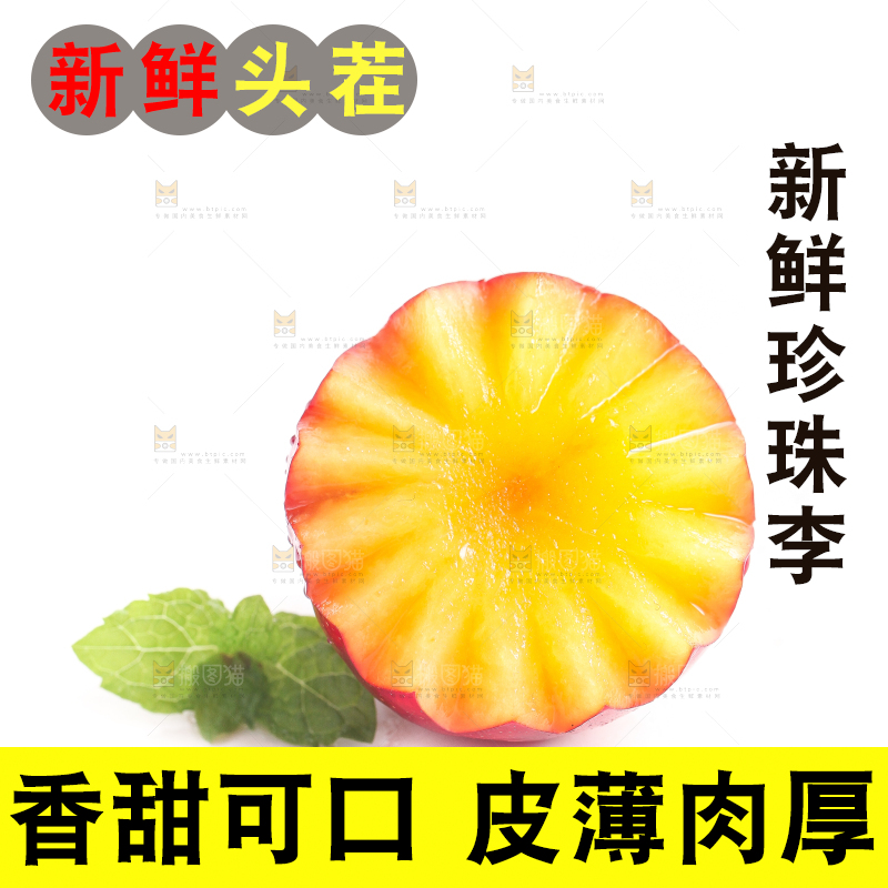 白底上的珍珠李