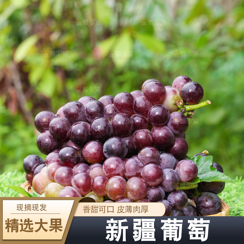 草地上放着一盘新鲜葡萄