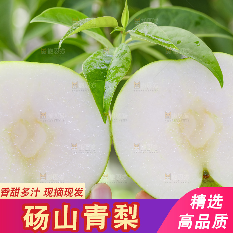 手拿切开的砀山苹果梨