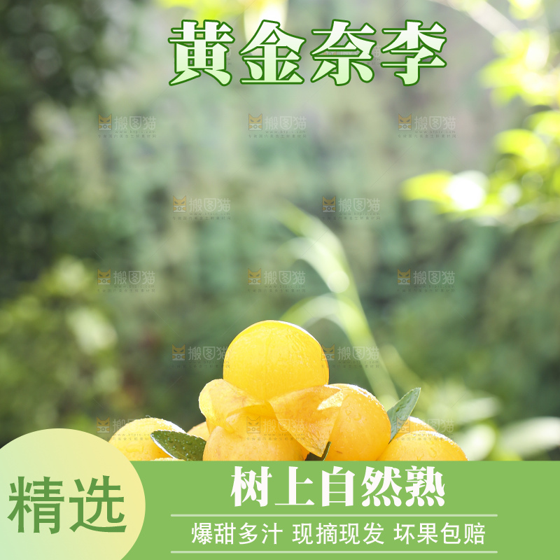 白底上放着一盘黄金奈李