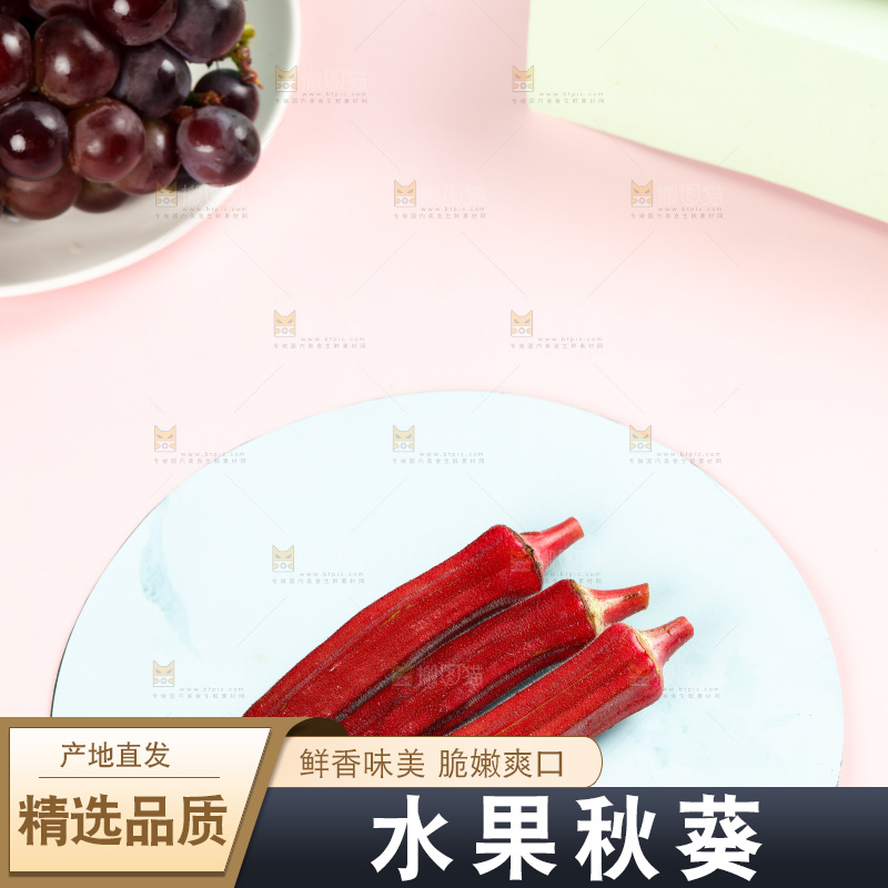 浅底上的红色秋葵