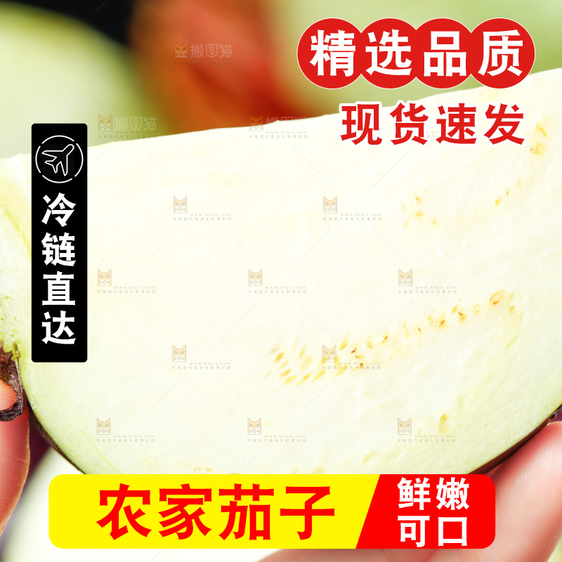 手拿切开的紫圆茄子