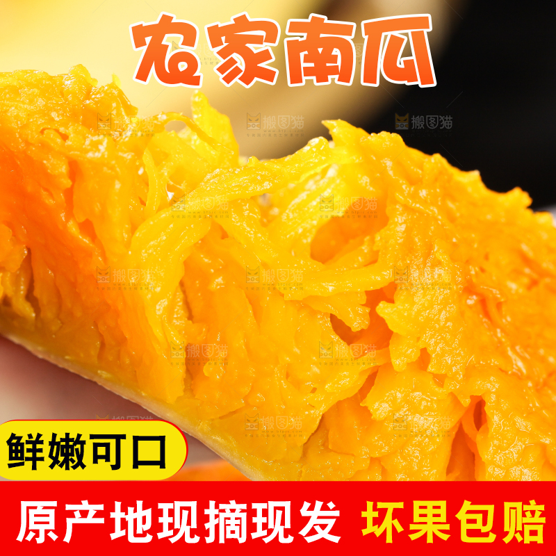 手拿切开的熟老南瓜