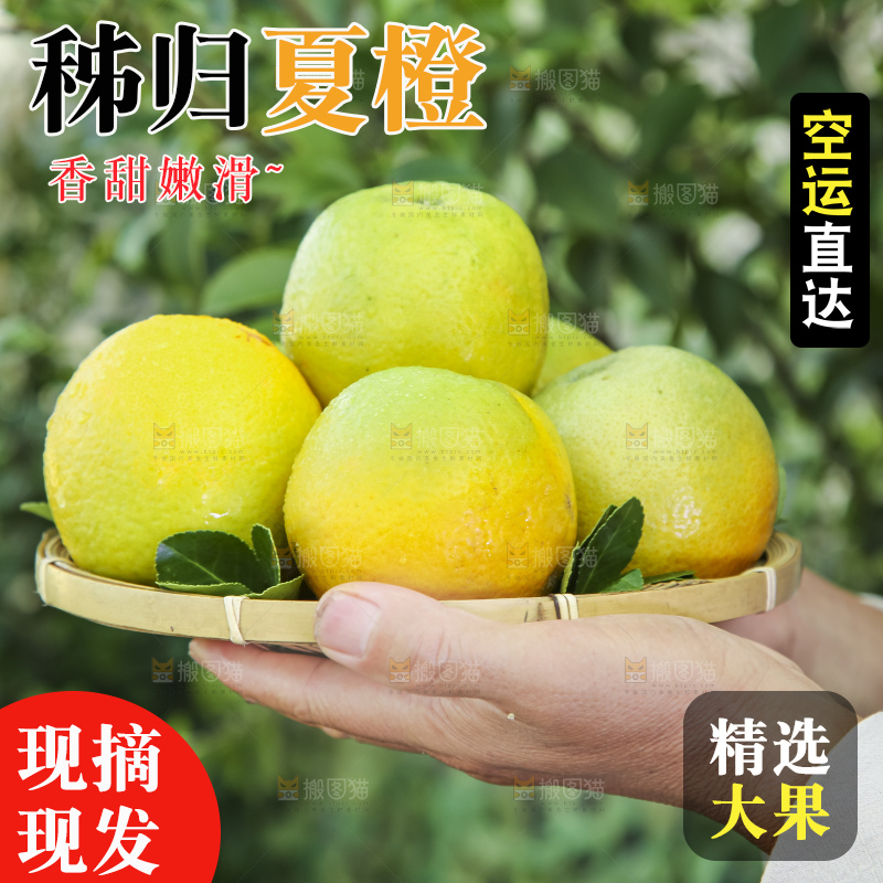 上手拿一筐夏橙