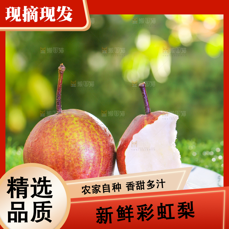草地上放着一盘彩虹梨