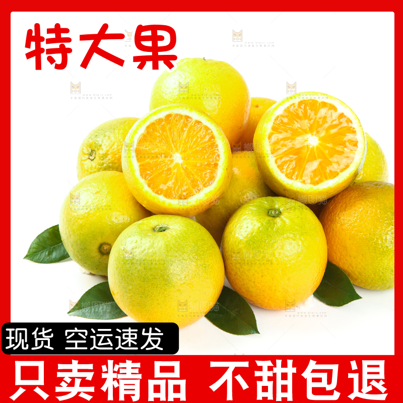 白底上放着切开的夏橙