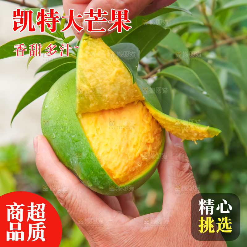 手拿剥皮的四川凯特芒