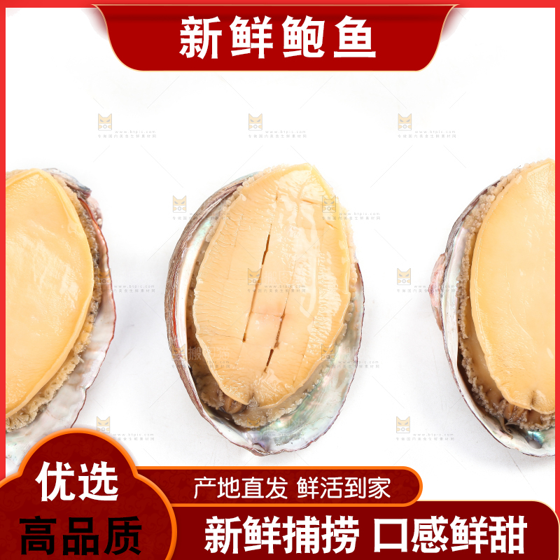 白底上放着鲍鱼